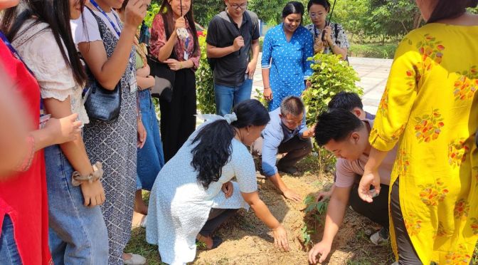 Dimapur Province Colleges Embrace World Environment Day with Innovative Celebrations